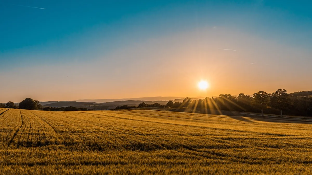 Regenerative Economy: Beyond Sustainability