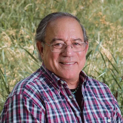 Stephen Laurence Gomes, Ph.D.