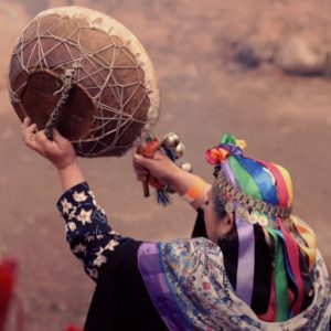 Raíces de la Tierra