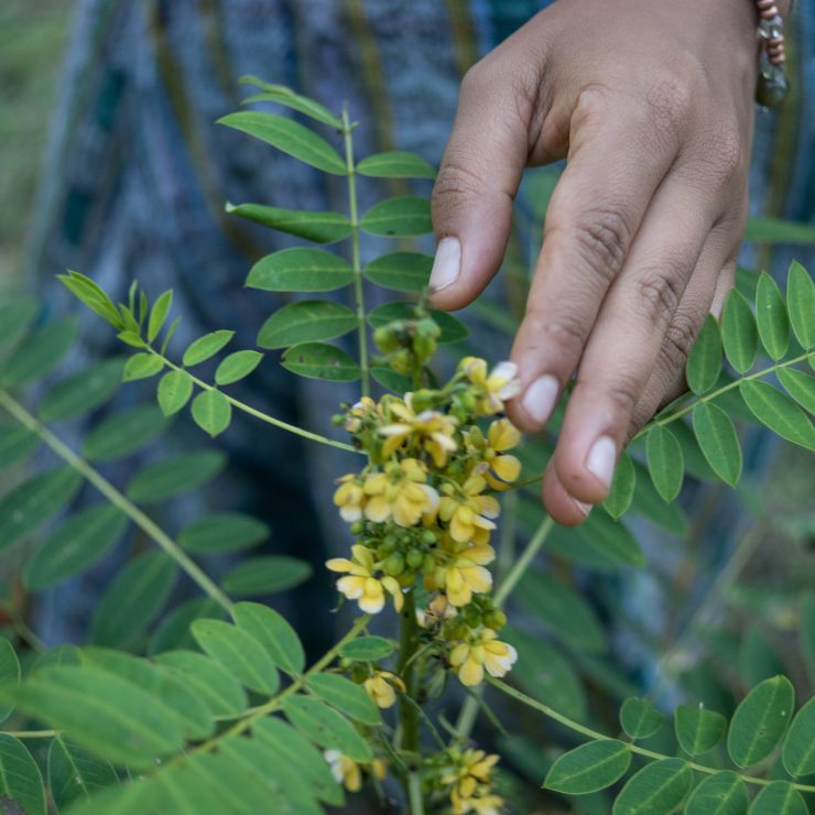 Spirall Holistic Wellness Services